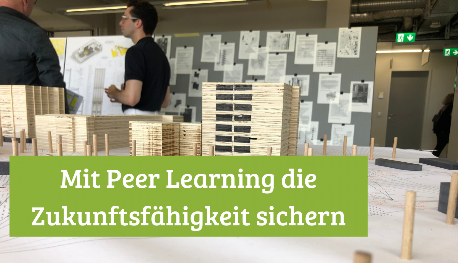 Transformatives Lernen gestalten mit Peer Learning - kollegiales Lernen